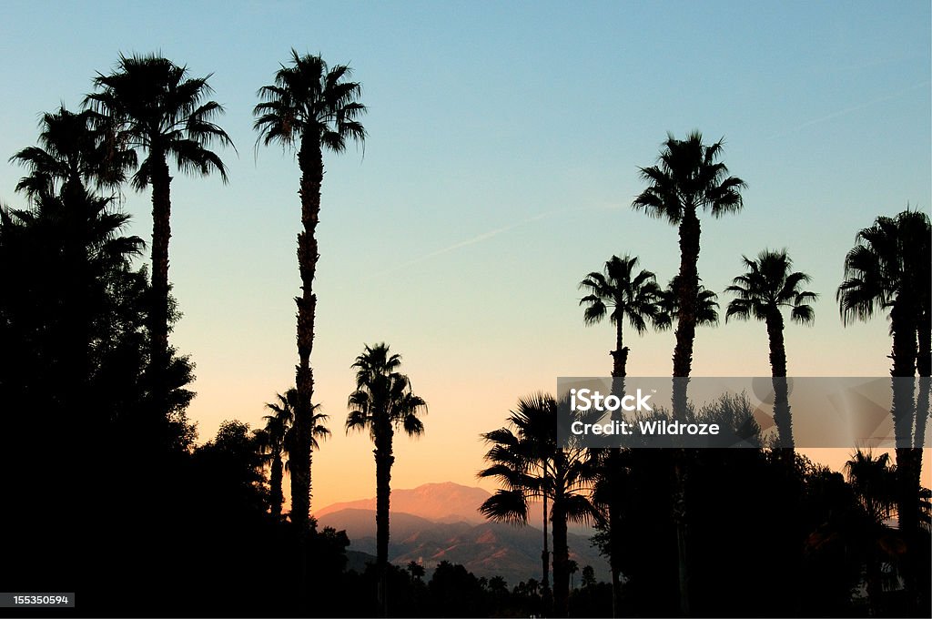 Sunset San Jacinto Mountain Palm Springs The peak of San Jacinto Mountain is lit by the setting sun, and framed by palm trees, near Palm Springs, California. In Silhouette Stock Photo