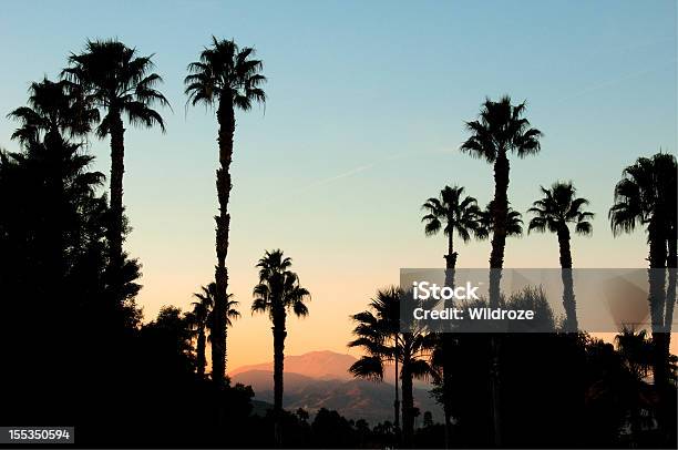 Sunset San Jacinto Mountain Palm Springs Stock Photo - Download Image Now - In Silhouette, Palm Tree, San Jacinto Range