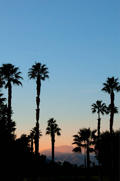 istock Sunset San Jacinto Mountain Palm Springs 155350595
