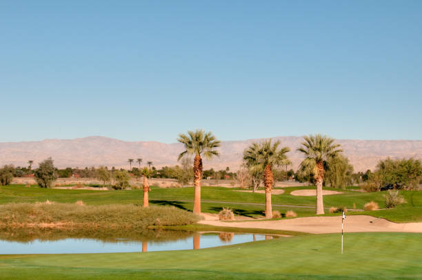 istock Lush green golf course in the Palm Springs desert 155350599