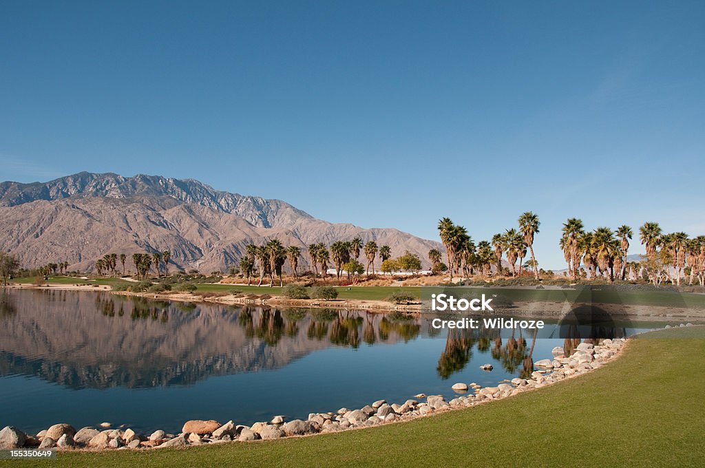 Soczyście zielone pole golfowe w the Palm Springs desert - Zbiór zdjęć royalty-free (Góra)