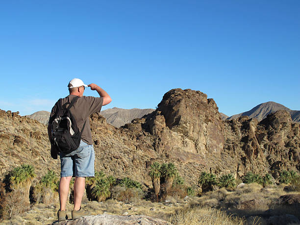 istock Indian Canyons hike near Palm Springs 155350823