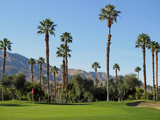 istock Lush green golf course in the Palm Springs desert 155350841