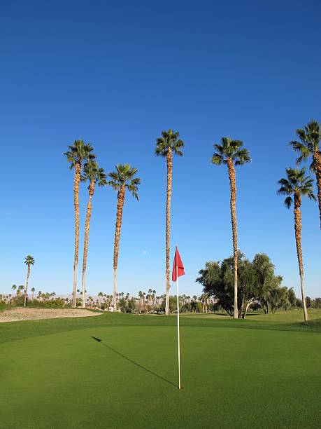 istock Lush green golf course in the Palm Springs desert 155350851