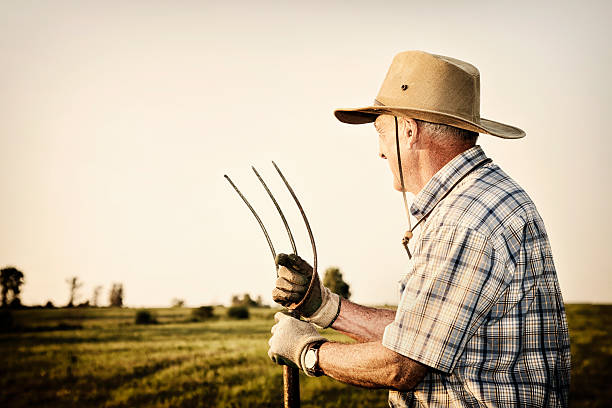 istock Senior farmer looking at his field 155351139