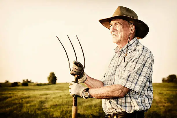 Senior farmer holding pitchfork standing in a field with clear blue sky looking to the left with a somewhat worried expression.