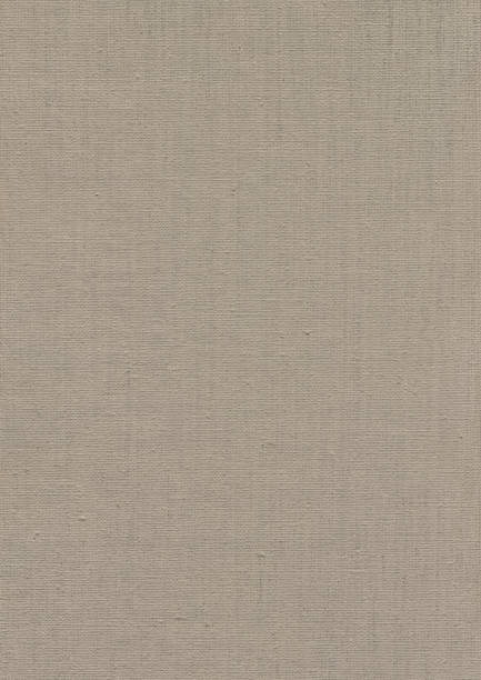 istock Hi-Res Artist's Primed Single Coated Linen Duck Canvas Grunge Texture 155351363