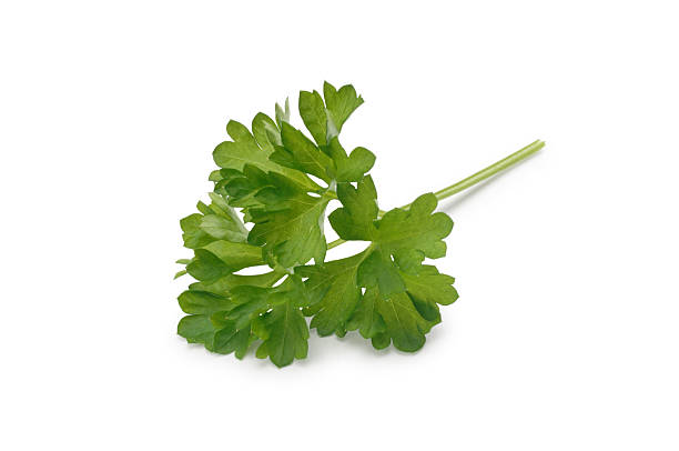 Parsley Parsley isolated on white. parsley stock pictures, royalty-free photos & images