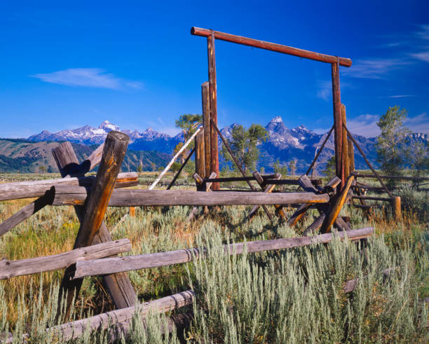 istock Grand Teton National Park  (P) 155351451