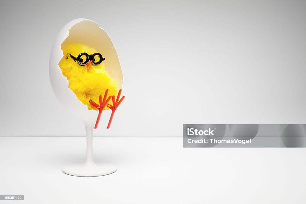 Chicken Relaxing In Egg Chair - Nerd  Easter Humor Fun Concept photography of a chick relaxing in the chair. Easter Stock Photo