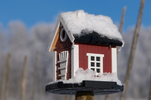 A miniature Swedish Dala-House in typical red and white covered in snow. The background has a clear blue winter sky and a traditional wooden fence. The houses in Dalarna (and Sweden) are red because of a by-product from copper mining. A natural treatment for wood that lets it breathe, protects it from the elements - and looks good. Useful to illustrate the good life on the country, peaceful and close to nature, the impact of the cold season, birding and gardening. Rustic cabin in the woods, weekend country cottage or remote hideaway in the wilderness.