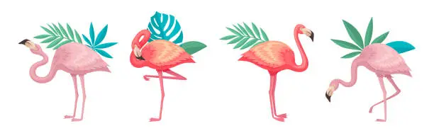 Vector illustration of Flamingo Exotic Bird Standing with Tropical Leaf and Foliage Vector Set