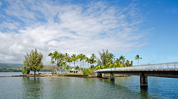 hilo isola di coconut - hilo foto e immagini stock