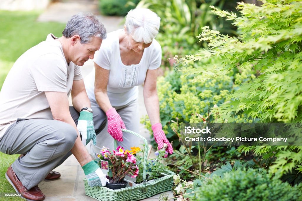 Elija su favorito de plantas - Foto de stock de Escoger libre de derechos