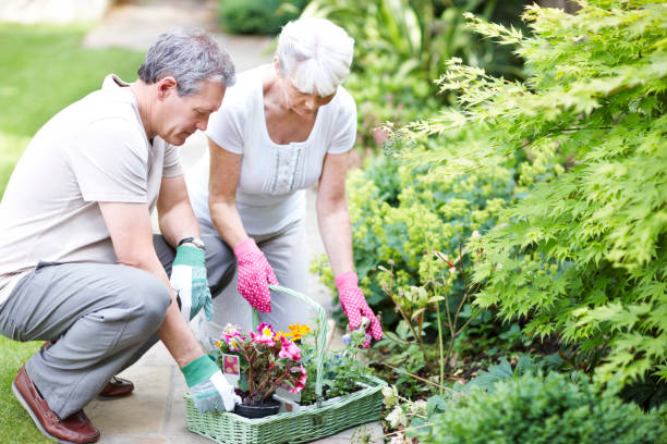 istock Choosing their favourite plants 155351933
