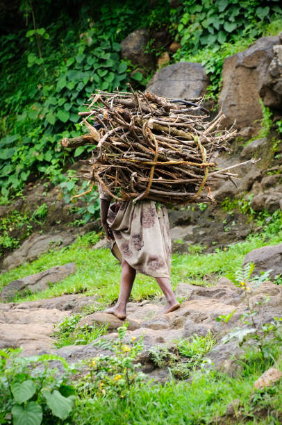 istock African woman carrying firewood 155352099