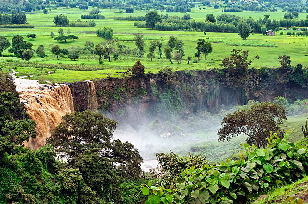istock Lush landscape and waterfall in Tis Abay, Ethiopia 155352110