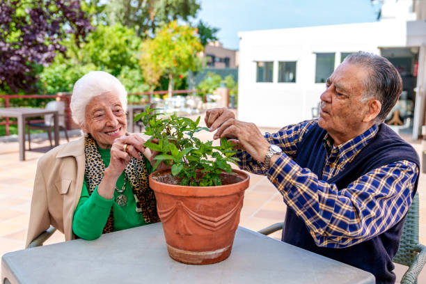 serenity in aging: elderly couple nurturing potted plant, radiating joy in the sunlit garden of a care home - 96 well imagens e fotografias de stock