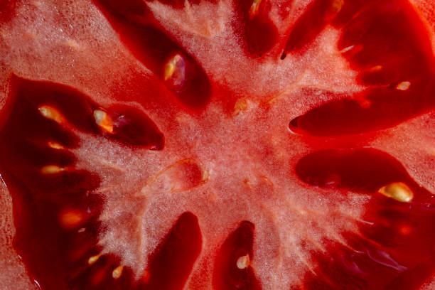 istock Slice of red tomato for background. Top view, closeup, macro 1553522912
