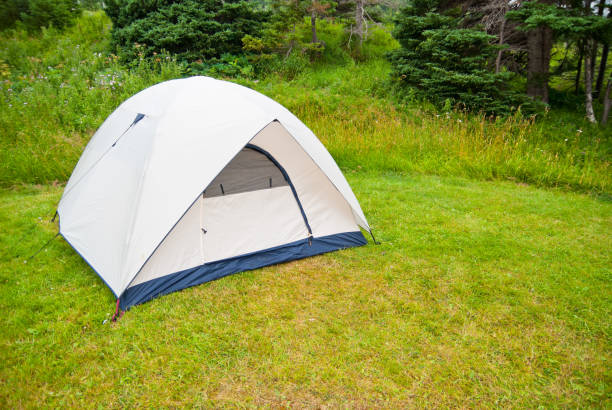 istock Tent In The Forest During A Summer Camp 155352294