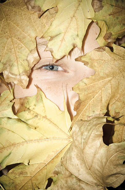 istock Boys Face Surrounded by Autumn Leaves 155352457