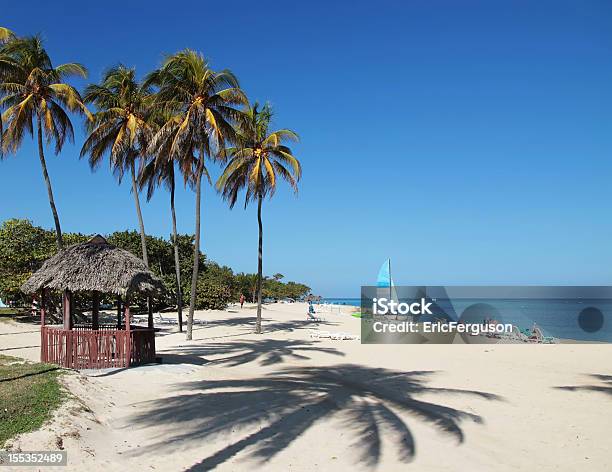 海とヤシの木が並ぶビーチ - キューバのストックフォトや画像を多数ご用意 - キューバ, 双胴船, カラフル