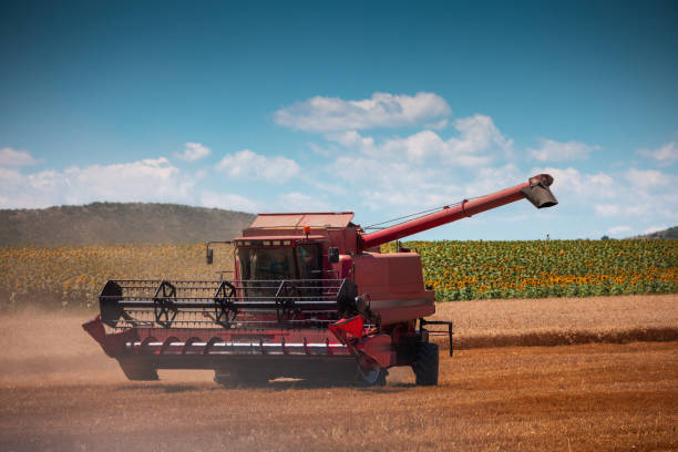 istock Combine harvester machine working in a wheat field 1553525556