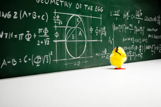 matematico-nerd pulcino di pasqua divertente con pollo humor matematica per lâ €™ istruzione - funny eggs foto e immagini stock