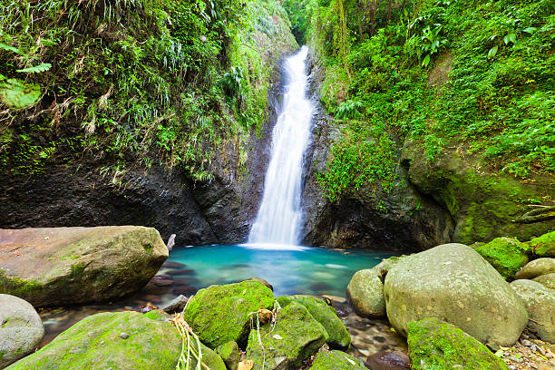 istock Au Coin Falls, Grenada W.I. 155353053