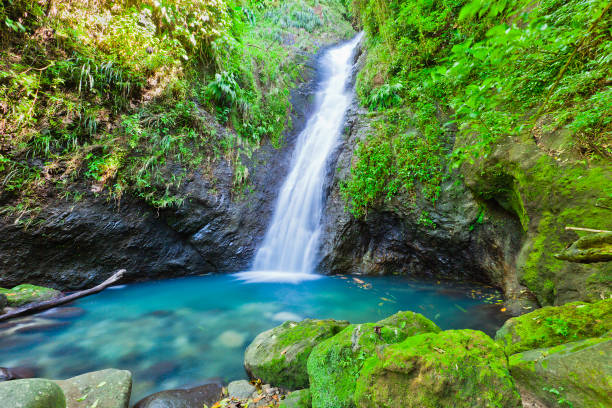istock Au Coin Falls, Grenada W.I. 155353054