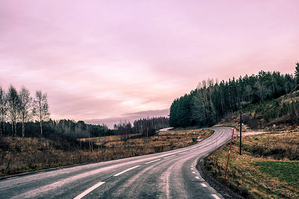 istock Road In Sweden During Twilight. 155353129