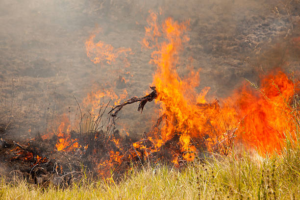 Free picture: fire, village, Uganda