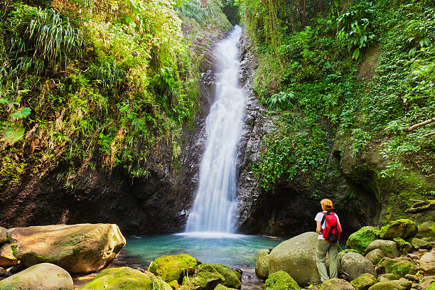 istock Au Coin Falls, Grenada W.I. 155353472
