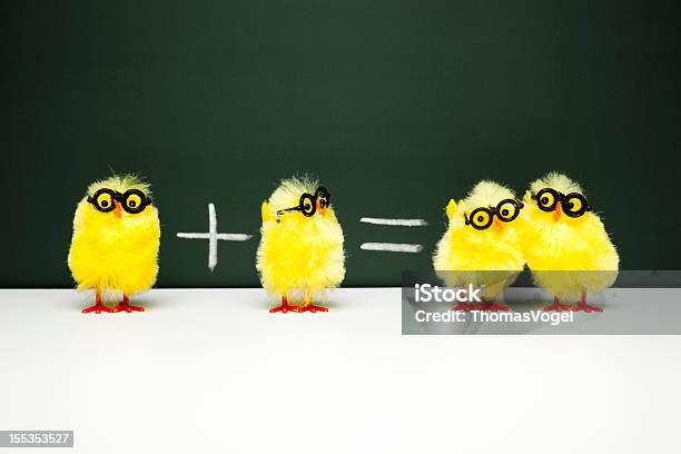 Matematyki Lekcjanerd Chick Kurczak Humor Zabawa Matematyka Wielkanoc - zdjęcia stockowe i więcej obrazów Wielkanoc