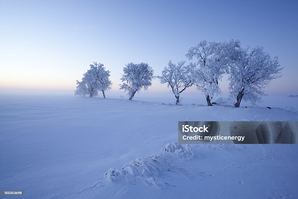 Beautiful Manitoba Sun setting with heavy hoar frost on the trees. Image taken from a tripod. Manitoba Stock Photo