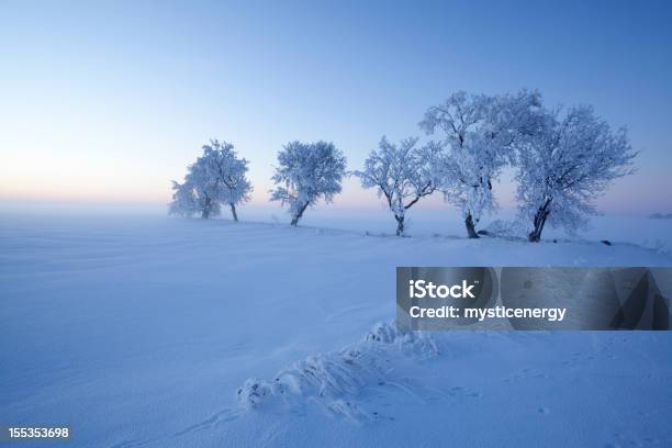 Beautiful Manitoba Stock Photo - Download Image Now - Manitoba, Nature, Beauty In Nature