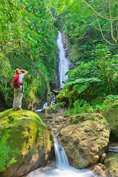 istock Au Coin Falls, Grenada W.I. 155353890