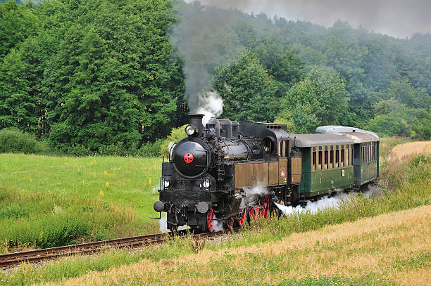 istock Steam locomotive 155354026