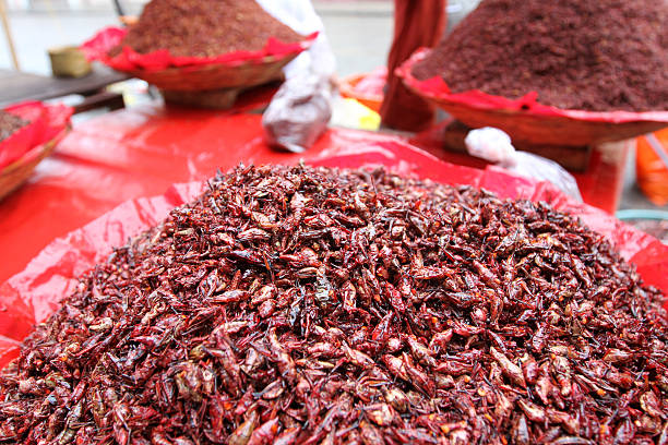 istock Chapulines, Oaxaca. Mexican food 155354035