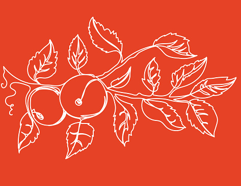 A drawing of an apple tree branch in a single continuous line style on a red background.