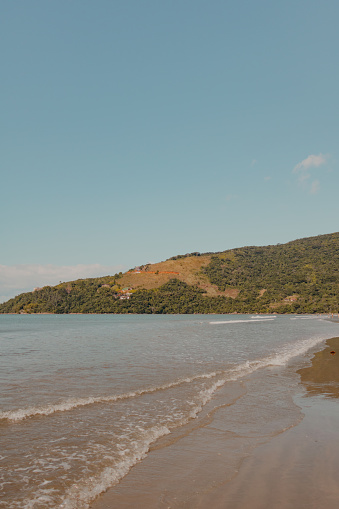 beachfront landscape