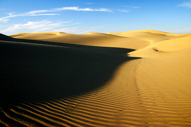 istock Golden sand dunes in Thar desert 155354728