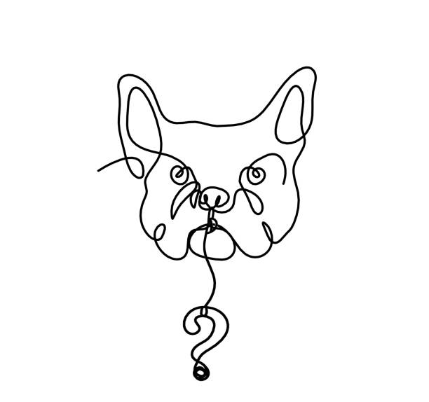 ilustrações de stock, clip art, desenhos animados e ícones de silhouette of abstract bulldog with question mark as line drawing on white - detent