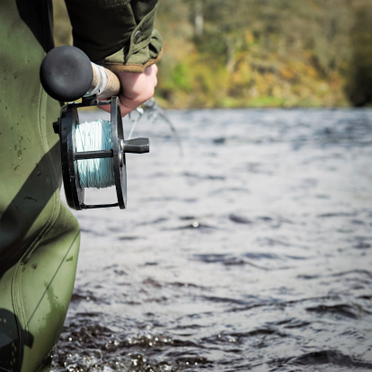 Close-up on the reel of a fly fishing rod, as a wading angler fishes for salmon in the River Spey, Scotland.