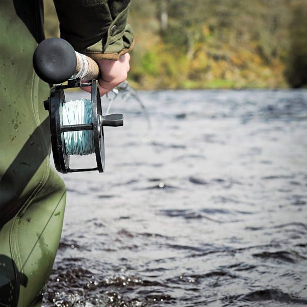 Fly Fishing Close-up on the reel of a fly fishing rod, as a wading angler fishes for salmon in the River Spey, Scotland. fly fishing scotland stock pictures, royalty-free photos & images