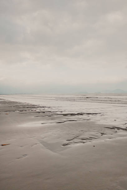 istock gray day at the beach 1553549971