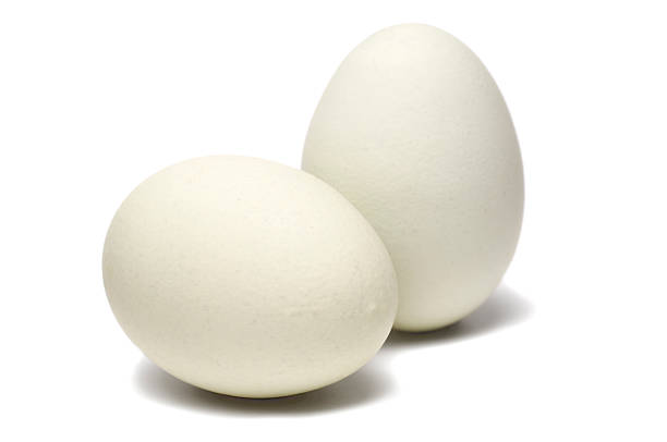 bianco uova su sfondo bianco - two eggs foto e immagini stock