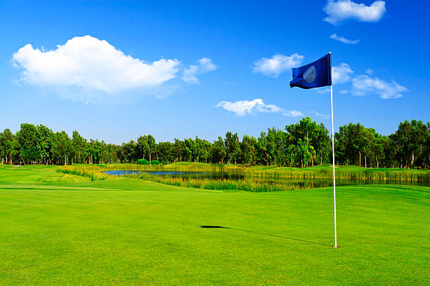 parcours de golf - flag stick photos et images de collection