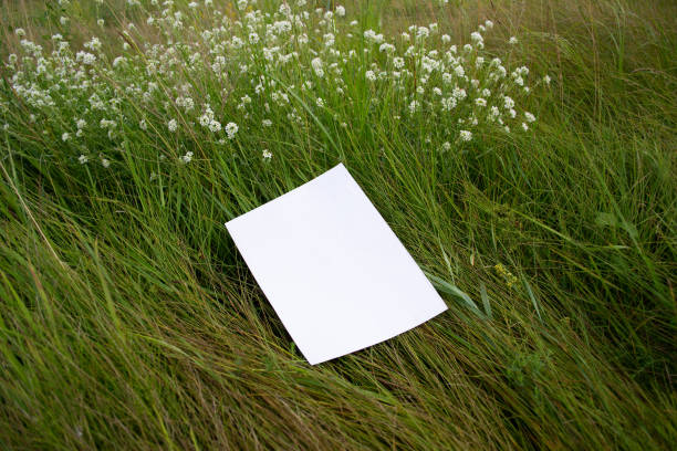 istock Mockup of white A4 sheet on grass with white clover. 1553554869