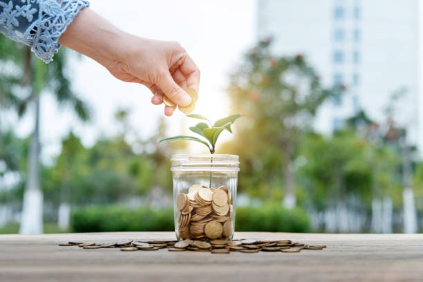 istock Young plant growing from coin jar 1553555101